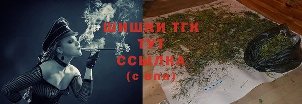бошки Елабуга