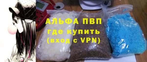 СК Елизово