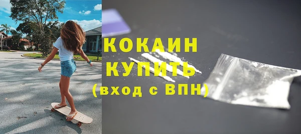 СК Елизово