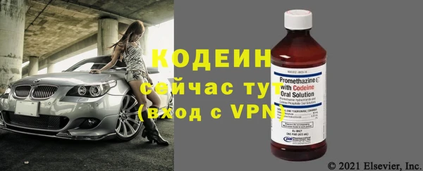 СК Елизово