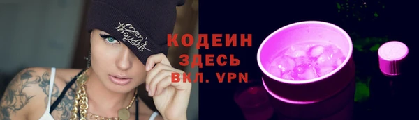 СК Елизово