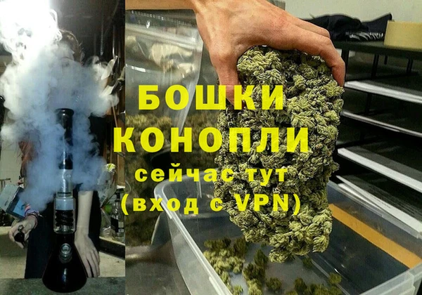 СК Елизово